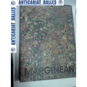 VIOREL MARGINEAN - PICTURA / DESEN / OBIECTIV - 2004  (album format mare)