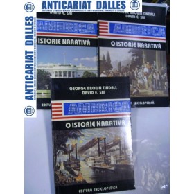 AMERICA- O ISTORIE NARATIVA - 3 volume - George Brown Tindall/David E.Shi