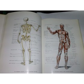 TRATAT DE SCULPTURA -Constantin BARASCHI