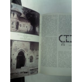 ARTA GOTICA IN ROMANIA -VASILE DRAGUT