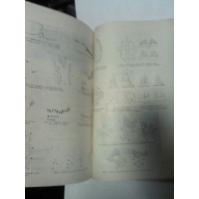 Arhitectura spatiilor libere plantate -Maria Goicea